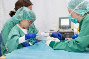 Bild zur Presseinformation "Ausnahmezustand in der Universitätsmedizin Göttingen – zahlreiche Kuscheltiere und Puppen fast zeitgleich erkrankt"